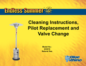 Blue Rhino ENDLESS SUMMER 233010 Cleaning Instructions Manual