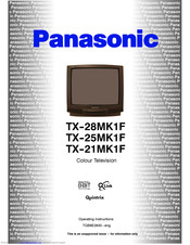 PANASONIC TX-25MK1F Operating Instructions Manual