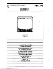 Philips 21GR1251 User Manual
