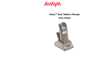 Avaya  User Manual