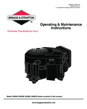 Briggs & Stratton 290000 Series Operating & Maintenance Instruction Manual