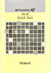 Roland MV-30 Quick Start Manual