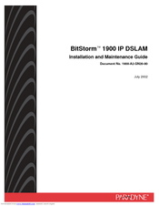 Paradyne BitStorm IP DSLAM 1900 Installation And Maintenance Manual