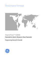 GE DigitalFlow GS868 Programming Manual