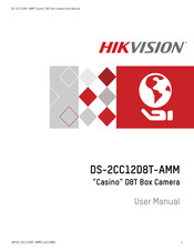 HIKVISION Casino D8T DS-2CC12D8T-AMM User Manual