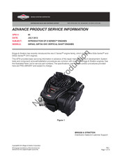 Briggs & Stratton 09P700 Series Service Information