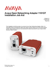 Avaya 1101GT Installation Job Aid