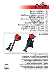 Grizzly BLSB 3030 Translation Of The Original Instructions For Use