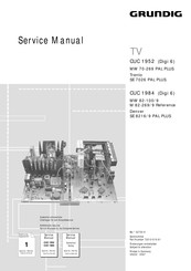 Grundig Denver SE 8216/9 PAL PLUS Service Manual
