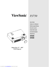 ViewSonic 300 User Manual