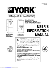 York P3DN User's Information Manual