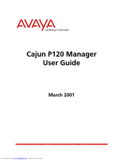 Avaya P120 SMON User Manual