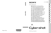 Sony Cyber-shot DSC-S2000 Instruction Manual