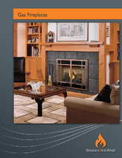 FireplaceXtrordinair 564 SS FPX Brochure & Specs