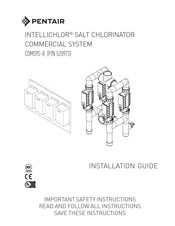 Pentair 520973 Installation Manual