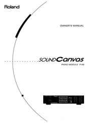 Roland Soun Canvas P-55 Owner's Manual