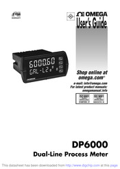 Omega DP6000 User Manual