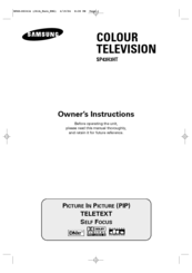 Samsung SP-43H3HT Owner's Instructions Manual