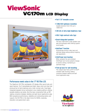 Viewsonic ViewPanel VG170m Specifications