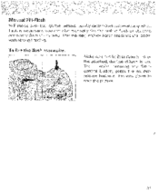 MINOLTA MAXXUM 700SI3 Manual