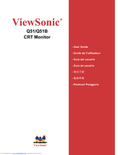 ViewSonic Optiquest Q51B User Manual
