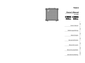 Manual Roland Cube 20x Amplifier Diagram