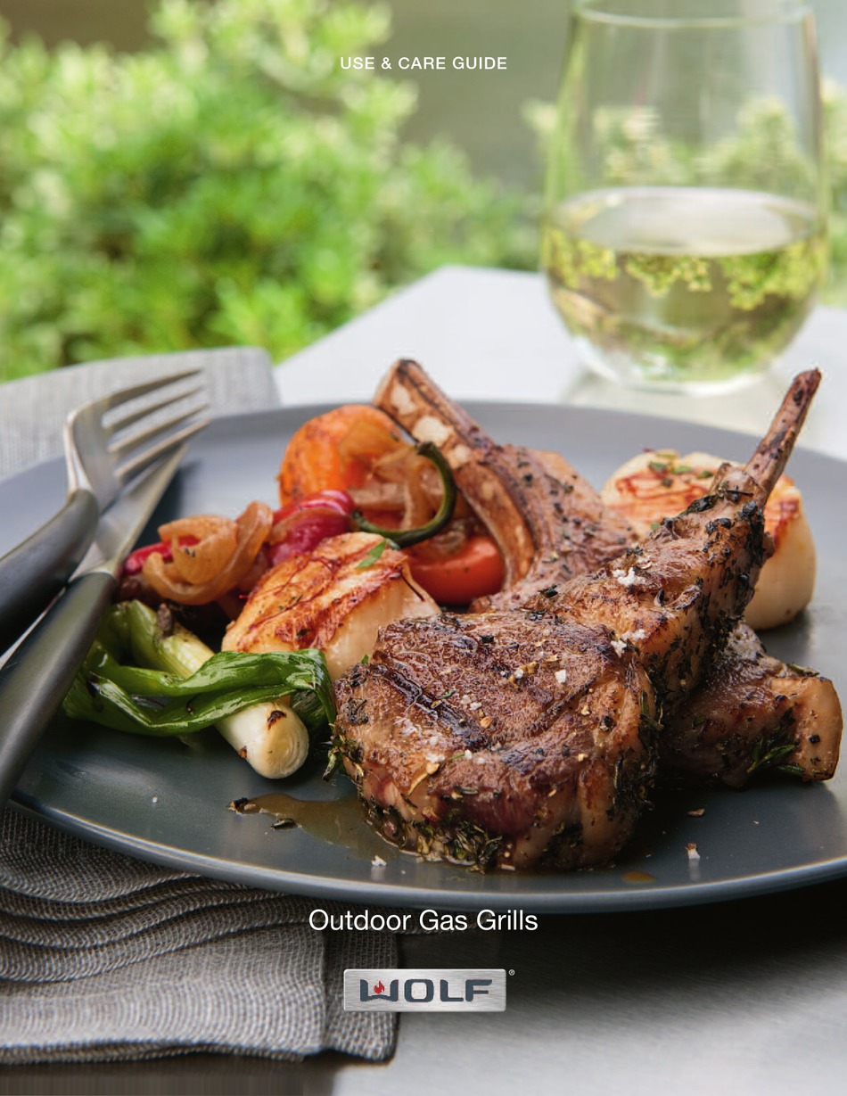 WOLF OUTDOOR GAS GRILL USE & CARE MANUAL Pdf Download ManualsLib