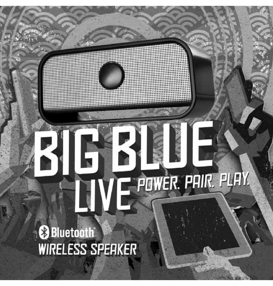 pairing big blue speaker