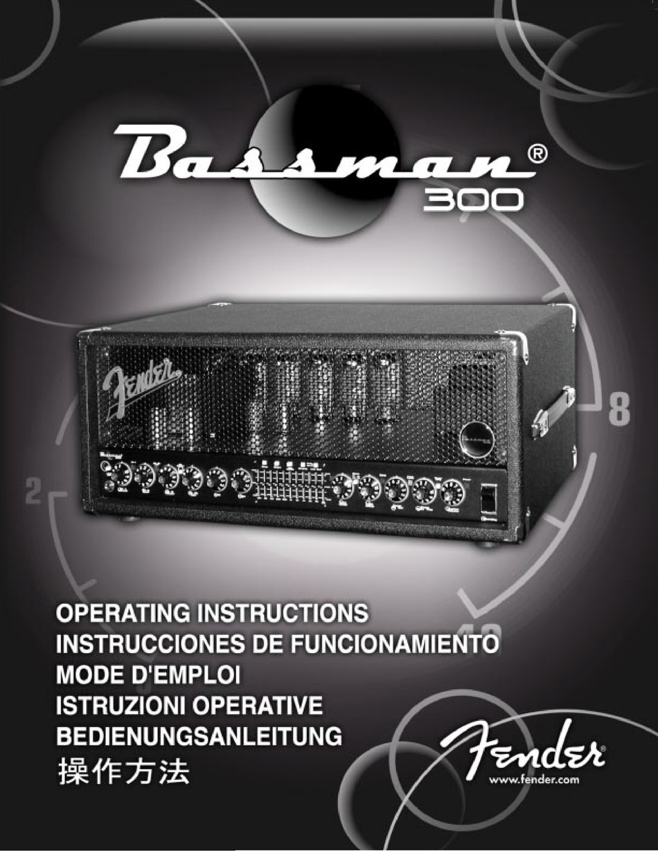 bassman 300