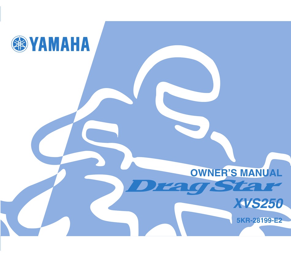 xvs 250 drag star