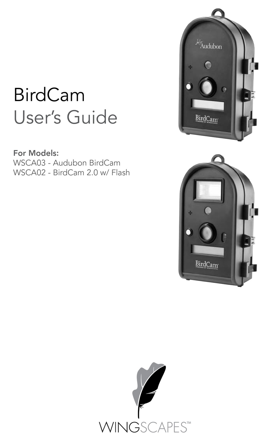 wingscapes birdcam