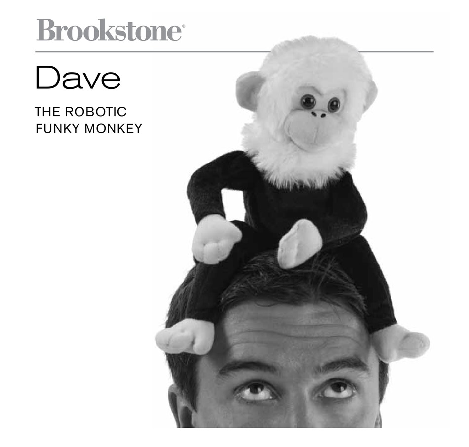 BROOKSTONE DAVE USER MANUAL Pdf Download ManualsLib