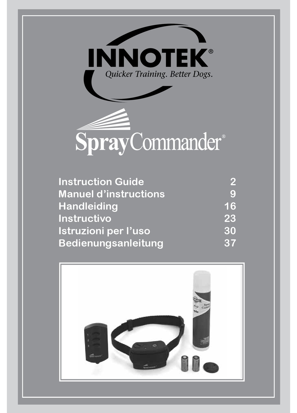 how often feed kitten