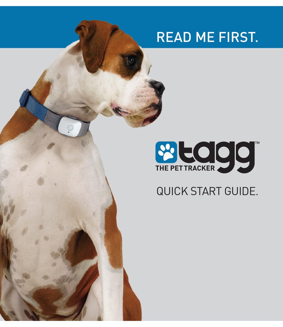 tagg dog
