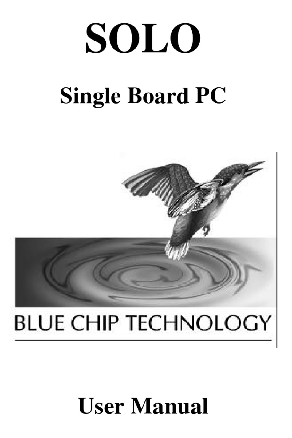 BLUE CHIP SOLO USER MANUAL Pdf Download ManualsLib
