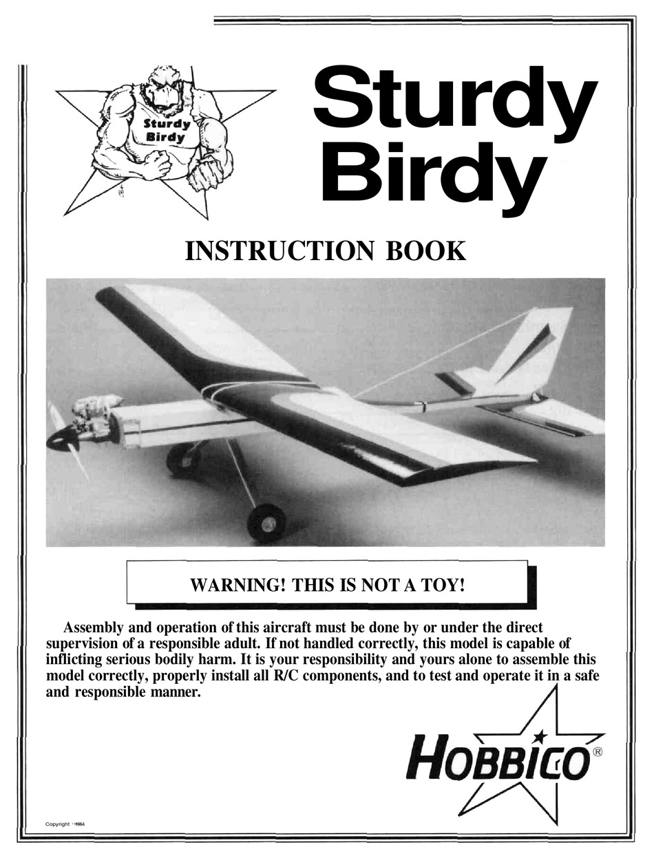 Sturdy birdy hotsell rc plane