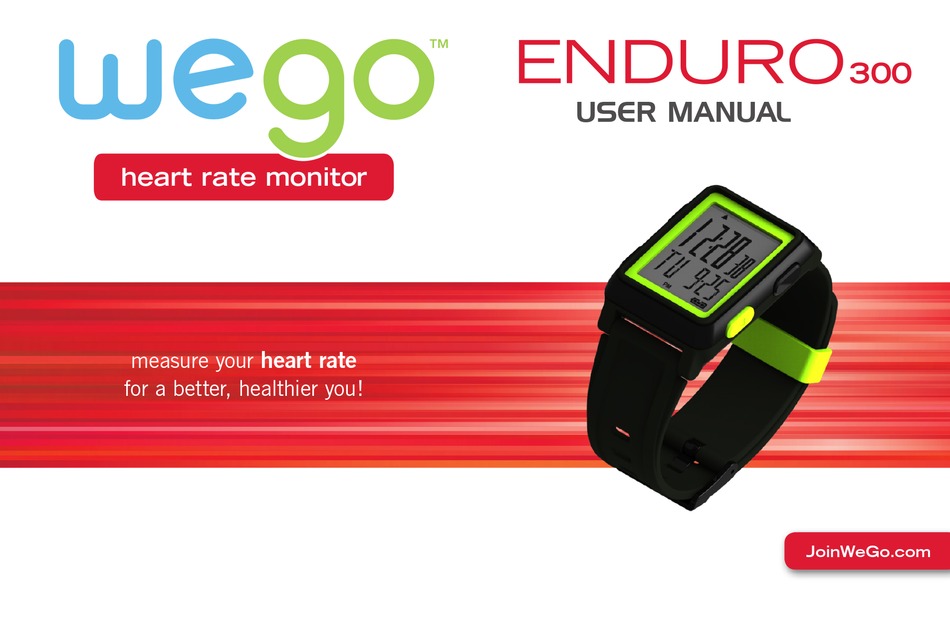 WEGO ENDURO 300 USER MANUAL Pdf Download ManualsLib