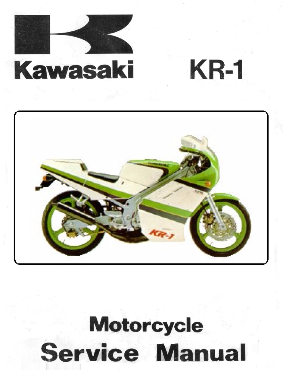 Kawasaki KR-1 リードバルブ カーボン 超希少 - エンジン、冷却装置
