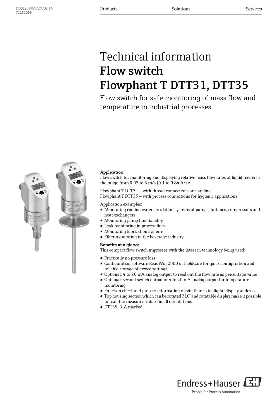 ENDRESS+HAUSER FLOWPHANT T DTT31 TECHNICAL INFORMATION Pdf Download ManualsLib