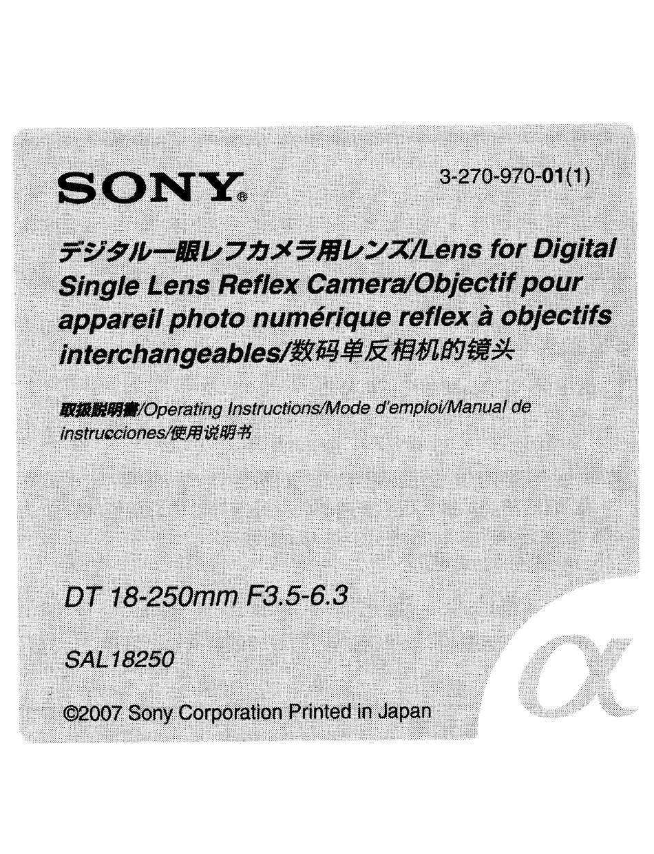 sony sal18250