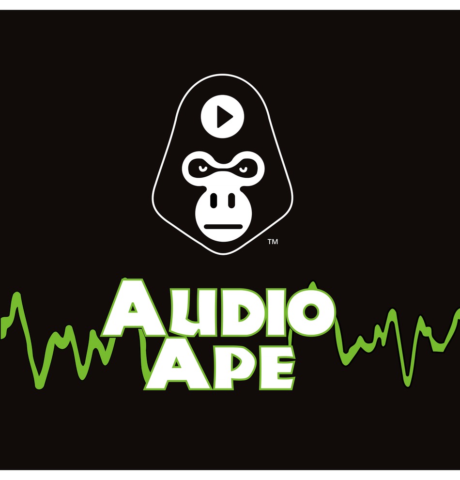 AUDIO APE REMOTE INSTRUCTION MANUAL Pdf Download ManualsLib