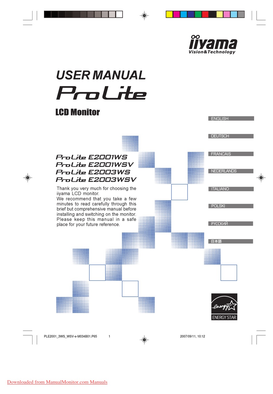 IIYAMA PROLITE E2001WS USER MANUAL Pdf 