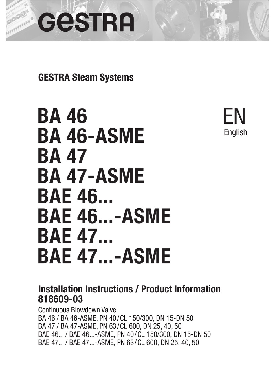 GESTRA BA 46 INSTALLATION INSTRUCTIONS AND PRODUCT INFORMATION Pdf ...