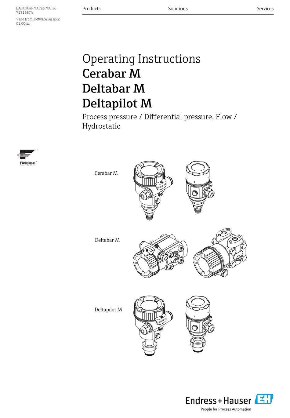 ENDRESS+HAUSER CERABAR M OPERATING INSTRUCTIONS MANUAL Pdf