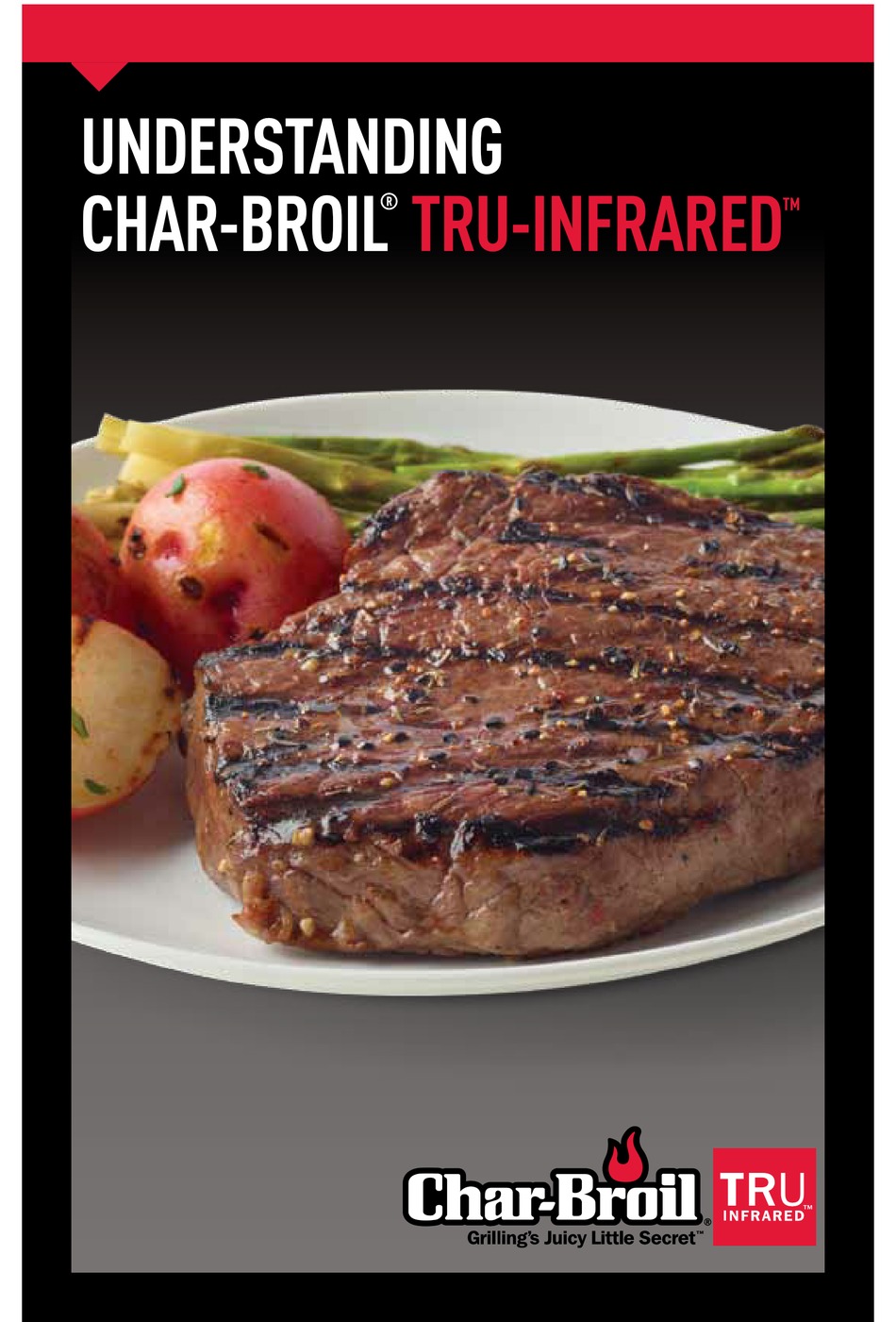 CHAR BROIL TRU INFRARED USER MANUAL Pdf Download ManualsLib