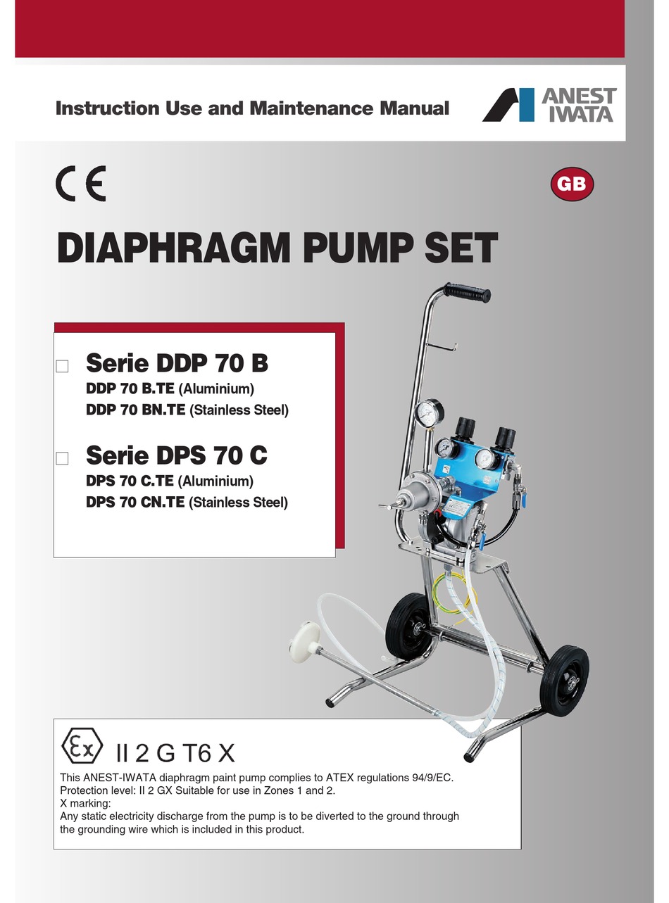 Anest Iwata Ddp 70 B Te Instruction Use And Maintenance Manual Pdf Download Manualslib