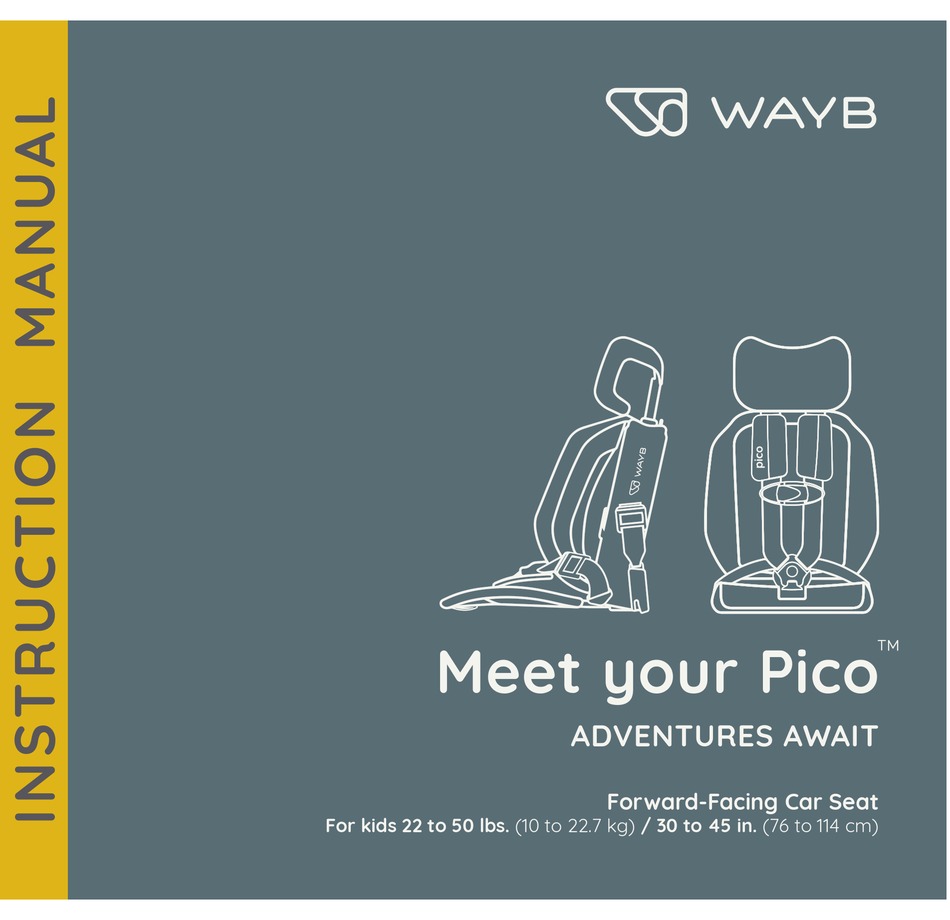 WAYB PICO INSTRUCTION MANUAL Pdf Download | ManualsLib