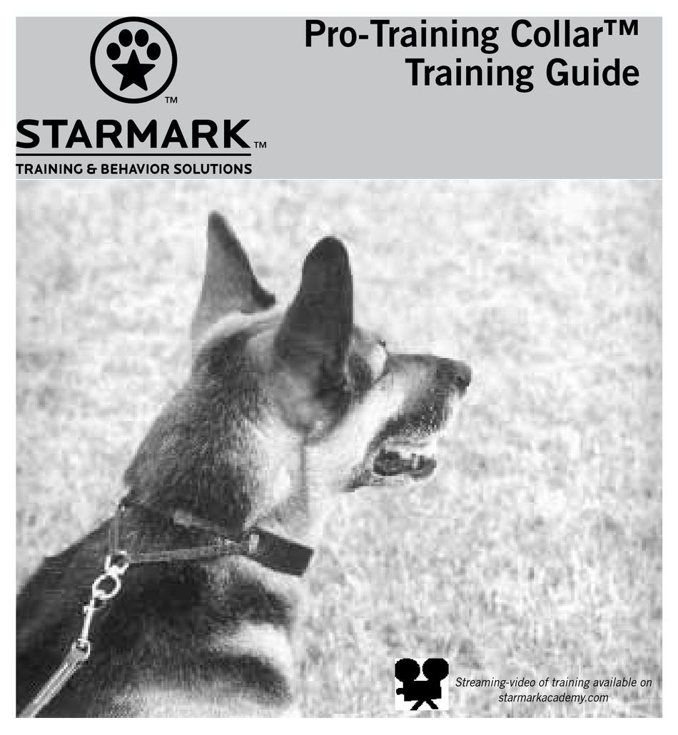 starmark training collar video