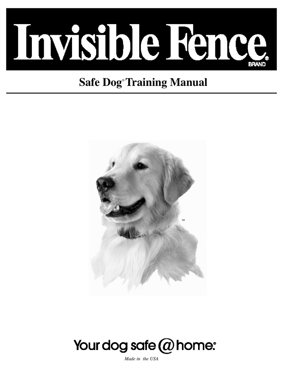 when to train dog on invisible fence