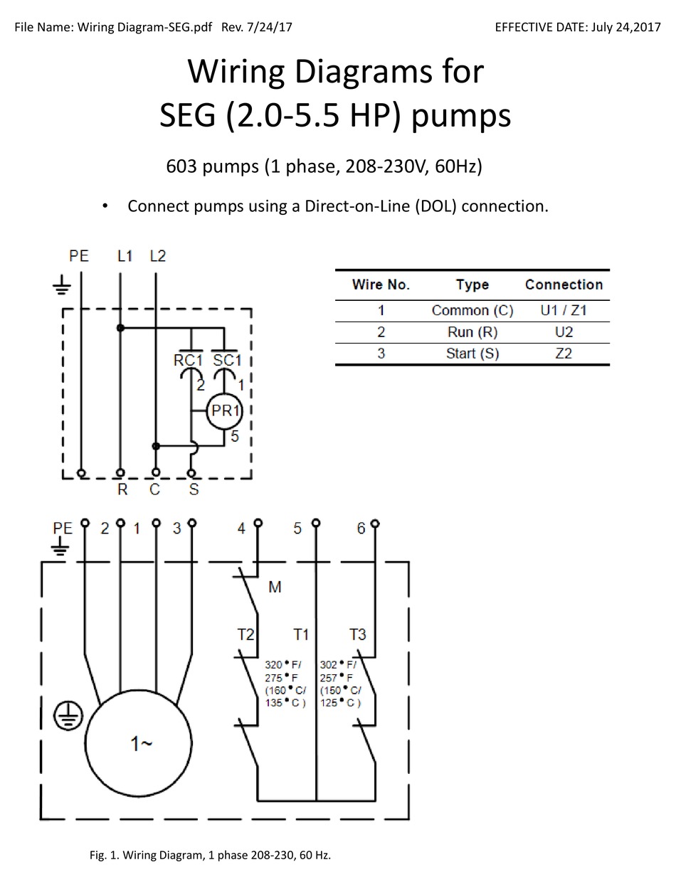 Grundfos Seg Series Wiring Diagrams Pdf